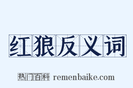 红狼反义词是什么意思的图片